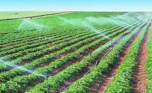 成人抽逼视频农田高 效节水灌溉